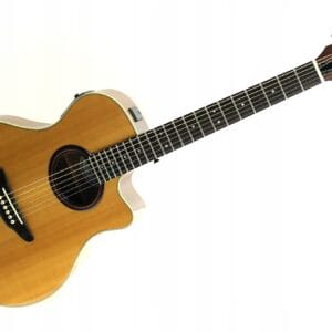 YAMAHA APX 5 A