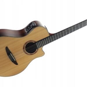 YAMAHA NTX 1200