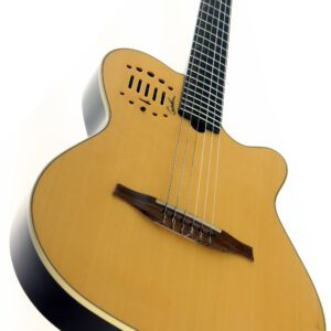 GODIN MULTIAC NYLON DUET AMBIENCE z 2012r