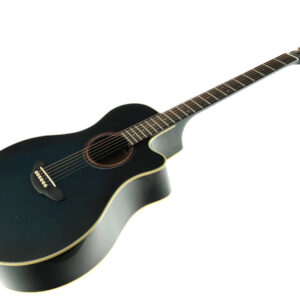 YAMAHA APX 5A