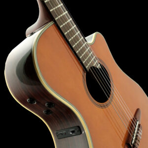 Yamaha APX 10N