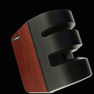 L.R.Baggs Synapse