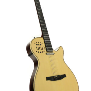 Godin Spectrum